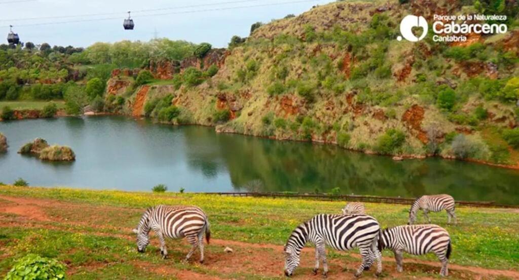 Casa Branca Cantabria Cuchia エクステリア 写真